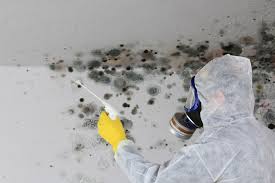 Best Mold Documentation for Insurance Claims in USA